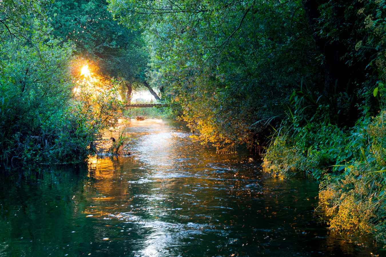 River View